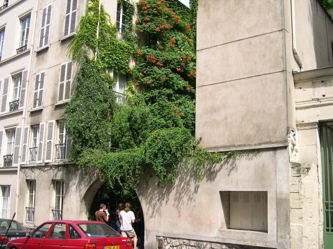  immeuble envahi par la verdure (5e) 22-juin-2003